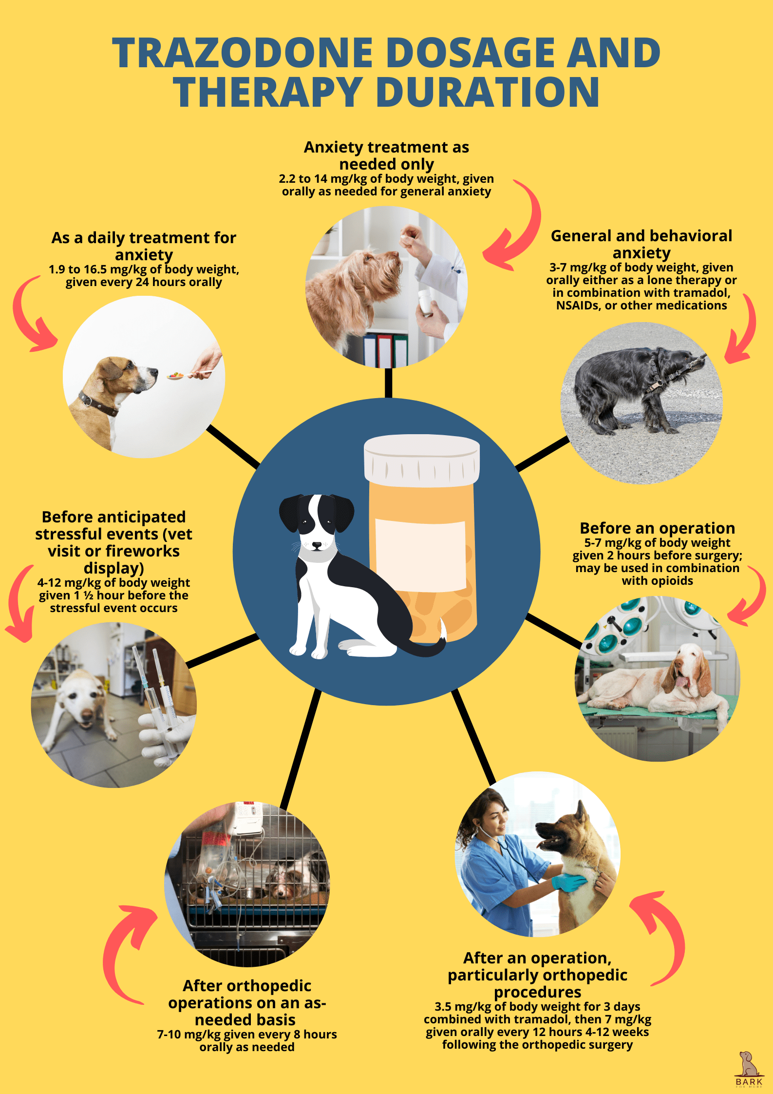 zofran for dogs dosage chart